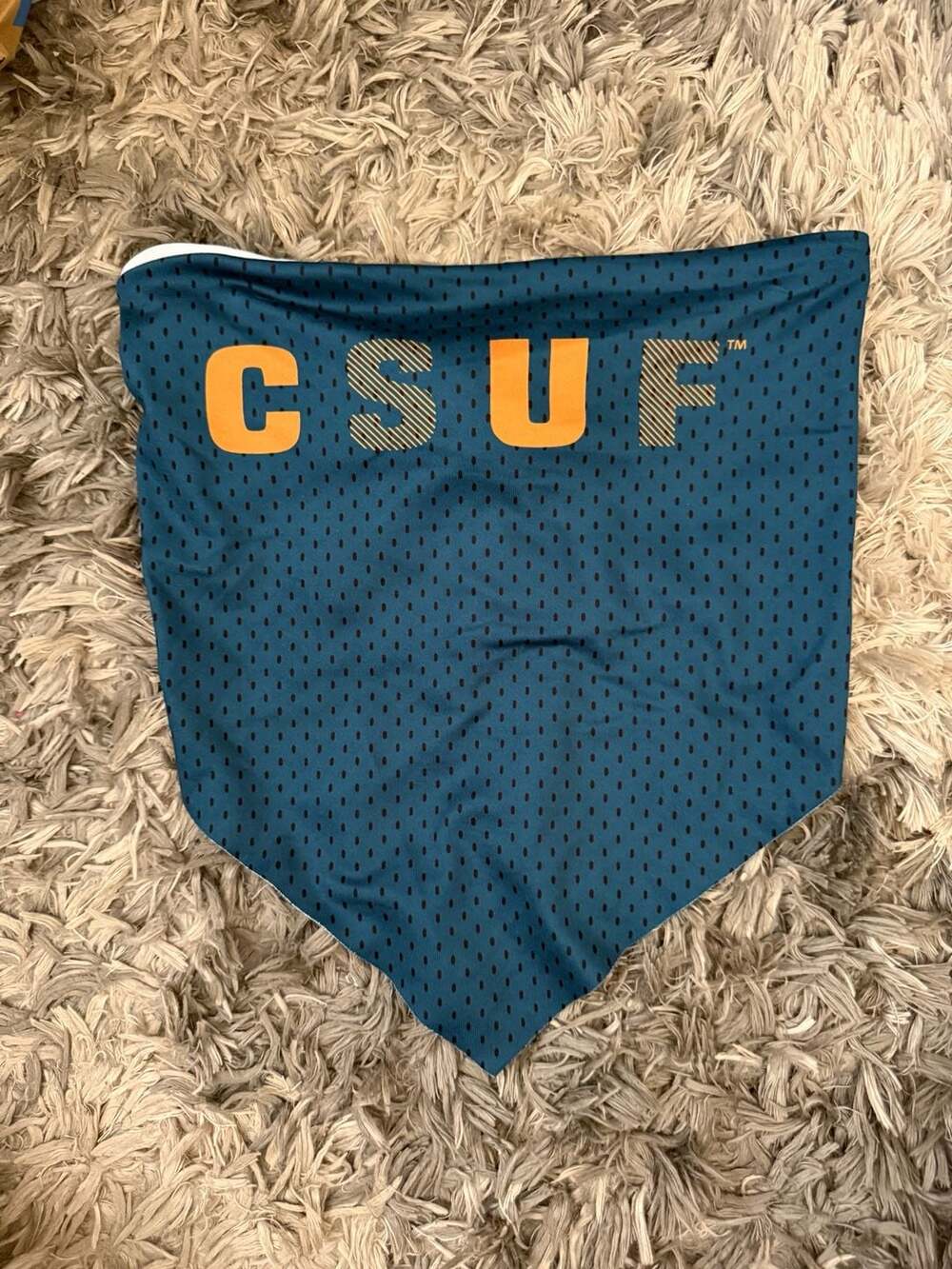 Zoozatz California State University Fullerton CSUF Team Headband Hair Wrap